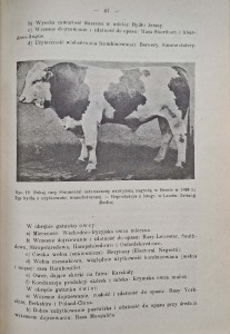 CamScanner 28.10.2025 11.28_14.jpg
