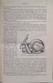 CamScanner 28.10.2025 11.28_3.jpg