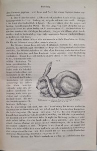 CamScanner 28.10.2025 11.28_3.jpg
