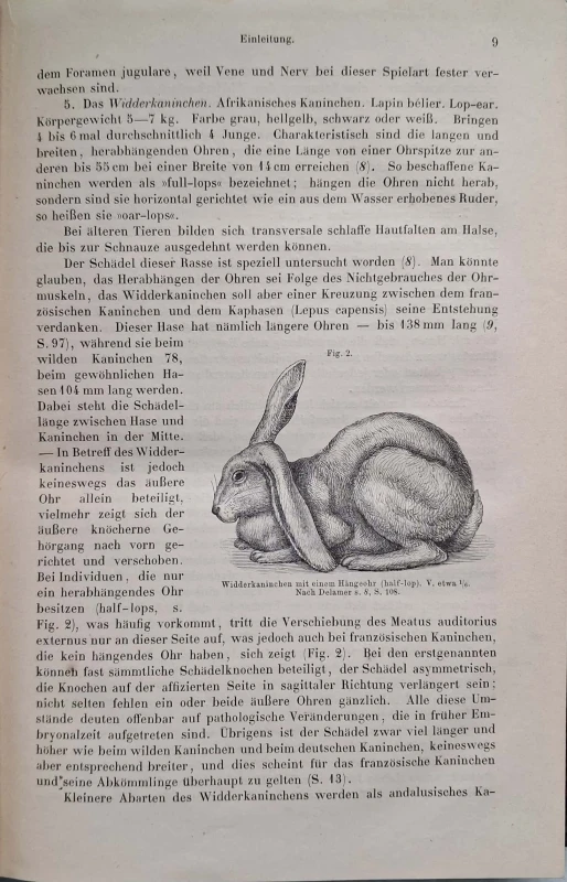 CamScanner 28.10.2025 11.28_3.jpg