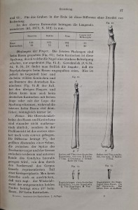 CamScanner 28.10.2025 11.28_4.jpg