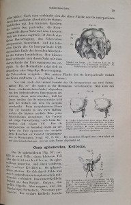 CamScanner 28.10.2025 11.28_5.jpg