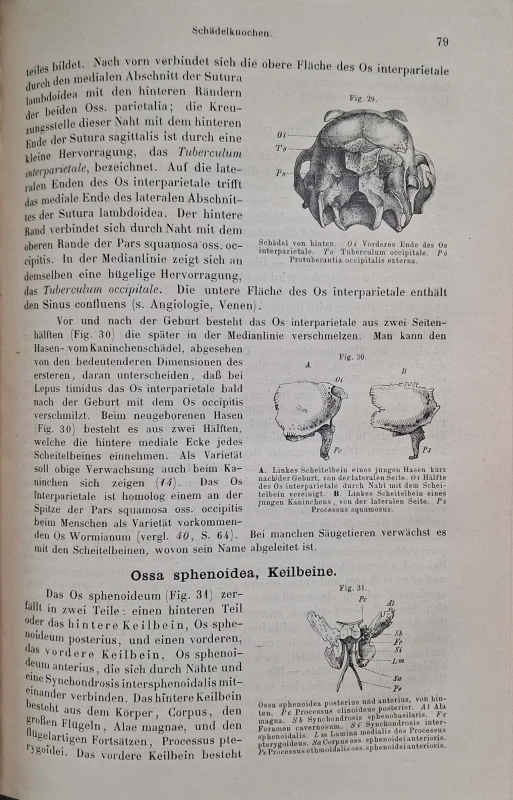 CamScanner 28.10.2025 11.28_5.jpg