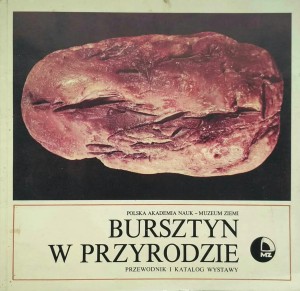 Bursztyn w przyrodzie Przewodnik i katalog wystawy