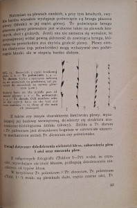 CamScanner 28.10.2025 12.53_30.jpg
