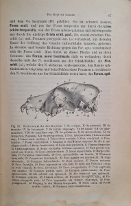 CamScanner 30.10.2025 13.52_31.jpg