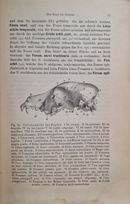 CamScanner 30.10.2025 13.52_31.jpg