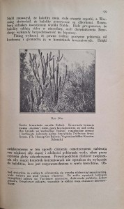 CamScanner 30.10.2025 13.52_8.jpg