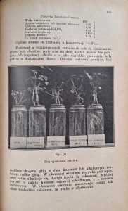 CamScanner 30.10.2025 13.52_9.jpg