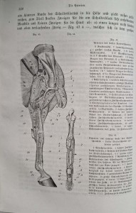 CamScanner 31.10.2025 10.05_9.jpg