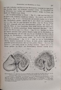 CamScanner 31.10.2025 10.05_10.jpg