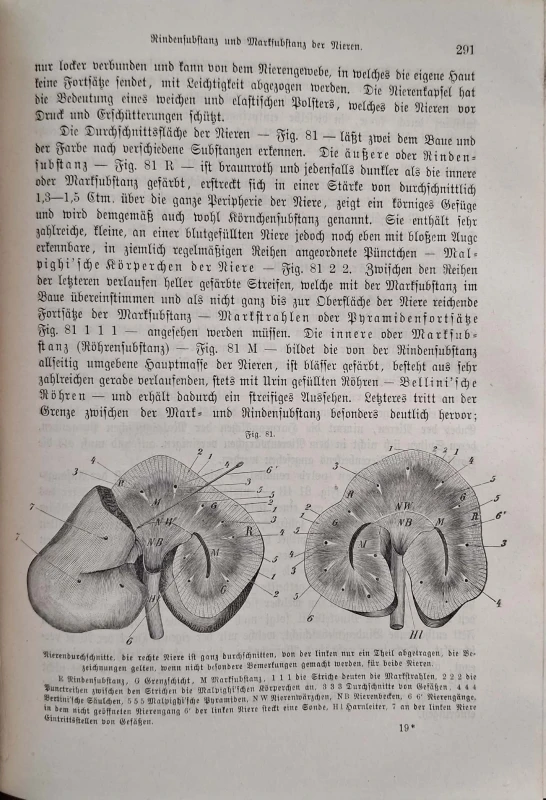 CamScanner 31.10.2025 10.05_10.jpg