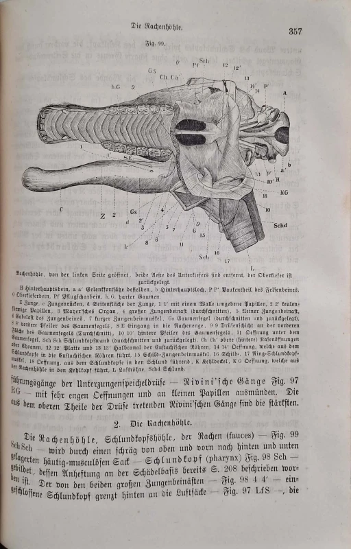 CamScanner 31.10.2025 10.05_11.jpg
