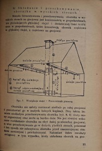 CamScanner 31.10.2025 12.37_30.jpg