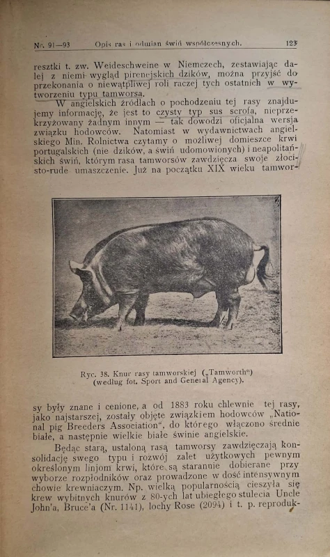 CamScanner 31.10.2025 12.37_18.jpg