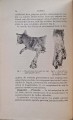 CamScanner 31.10.2025 10.22_27.jpg