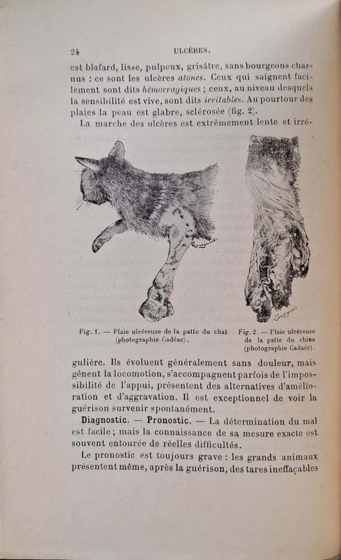 CamScanner 31.10.2025 10.22_27.jpg
