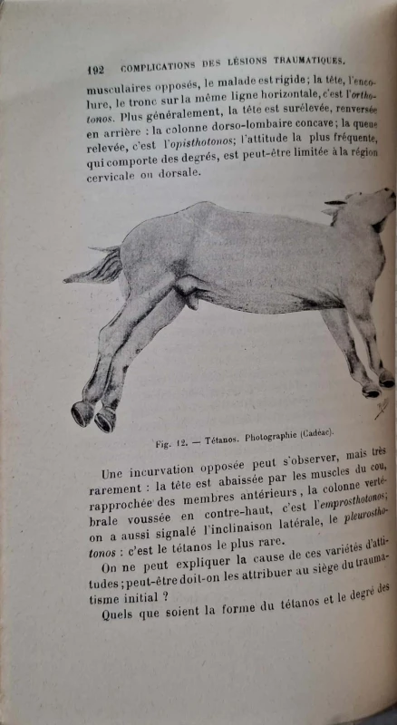 CamScanner 31.10.2025 10.22_28.jpg