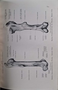 CamScanner 02.11.2025 13.16_4.jpg