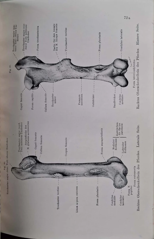 CamScanner 02.11.2025 13.16_4.jpg