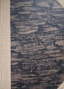 Orgelbrand, Silniki spalinowe