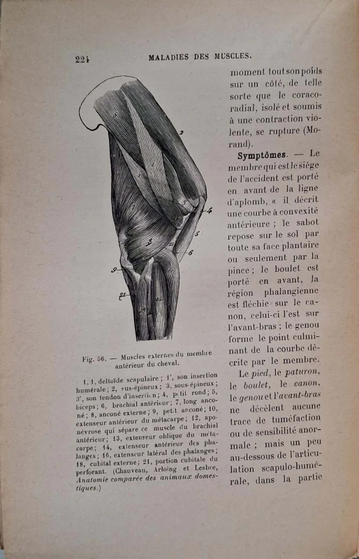 CamScanner 03.11.2025 10.51_9.jpg