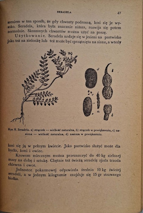 CamScanner 05.11.2025 10.58_7.jpg