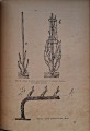 CamScanner 05.11.2025 14.18_9.jpg