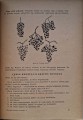 CamScanner 05.11.2025 14.18_10.jpg
