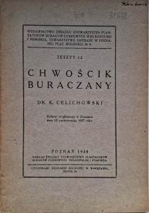 Celichowski, Chwościak buraczany