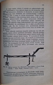 CamScanner 06.11.2025 13.21_5.jpg