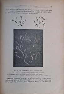 CamScanner 06.11.2025 13.46_37.jpg