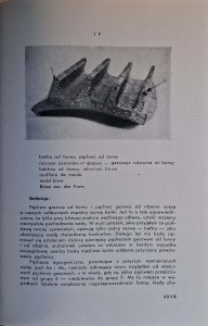 CamScanner 06.11.2025 13.46_34.jpg
