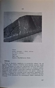 CamScanner 06.11.2025 13.46_35.jpg