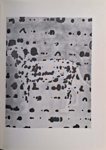 CamScanner 14.11.2025 10.32_26.jpg