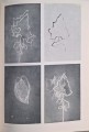CamScanner 14.11.2025 10.32_32.jpg