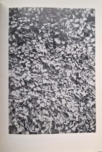 CamScanner 14.11.2025 12.39_24.jpg