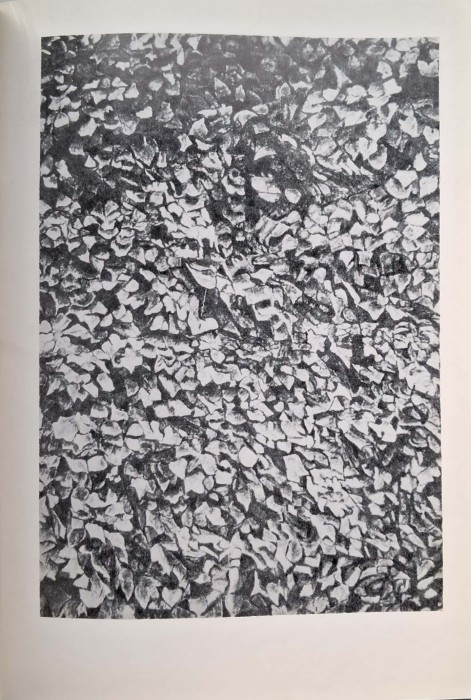 CamScanner 14.11.2025 12.39_24.jpg