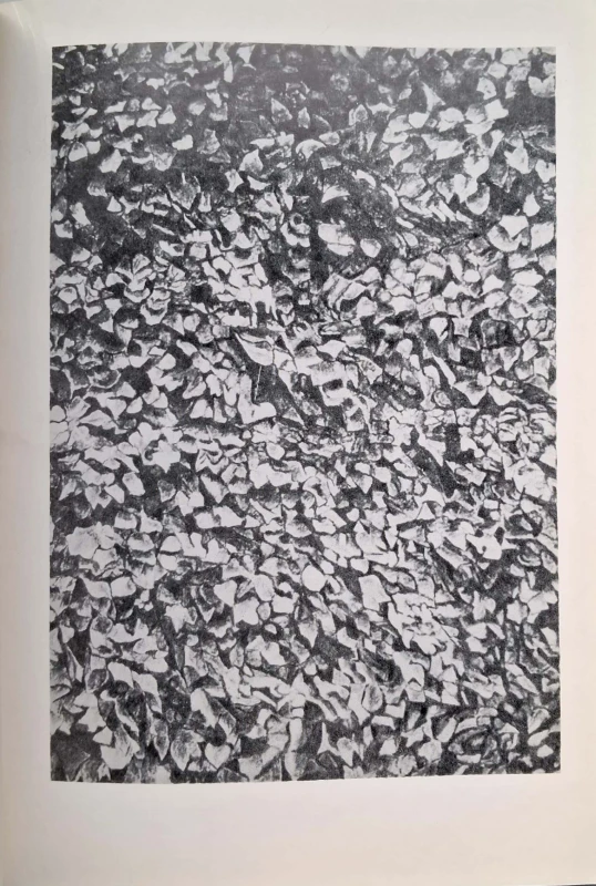 CamScanner 14.11.2025 12.39_24.jpg