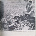 CamScanner 20.11.2025 13.10_5.jpg