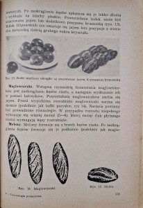 CamScanner 30.11.2025 13.33_11.jpg