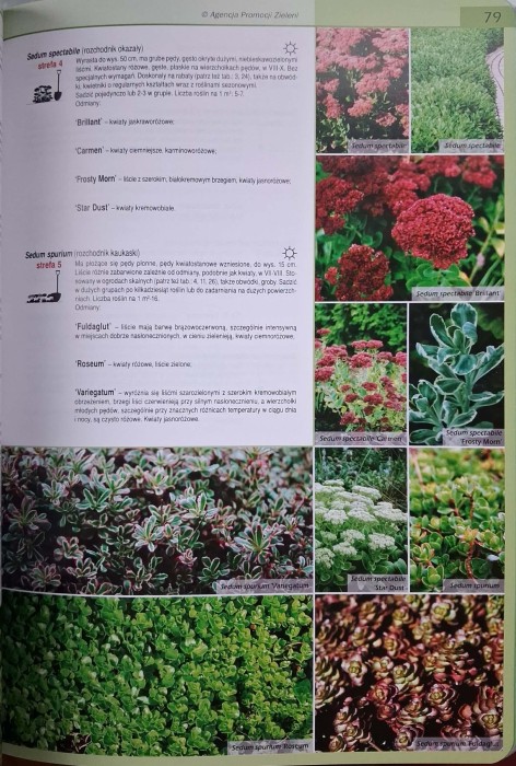 CamScanner 06.12.2025 13.28_22.jpg
