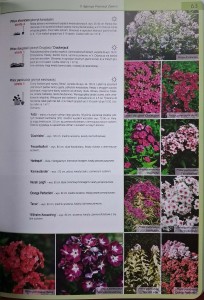CamScanner 06.12.2025 13.28_23.jpg
