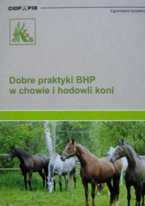 Dobre praktyki BHP w chowie i hodowli koni