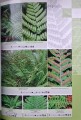 CamScanner 06.12.2025 13.28_44.jpg