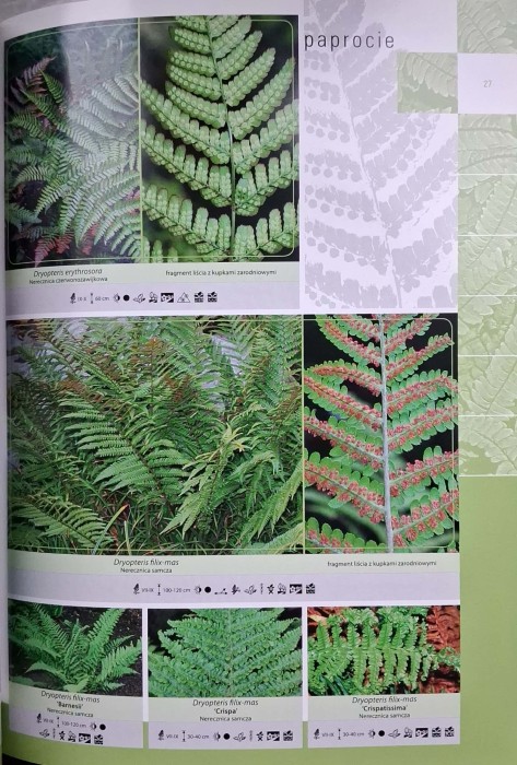 CamScanner 06.12.2025 13.28_44.jpg