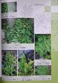 CamScanner 06.12.2025 13.28_45.jpg