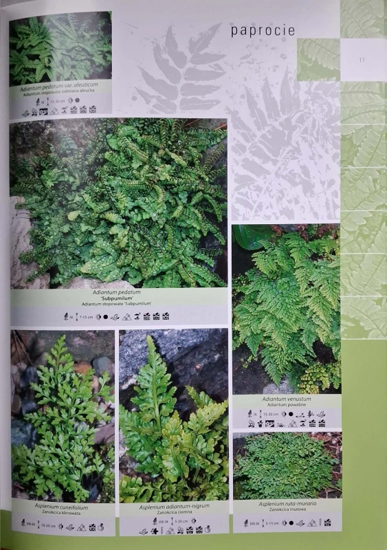 CamScanner 06.12.2025 13.28_45.jpg
