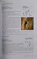 CamScanner 19.12.2025 13.02_103.jpg
