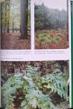CamScanner 08.01.2026 13.55_30.jpg